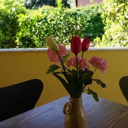 Gira E Firria Дом отдыха Палермо